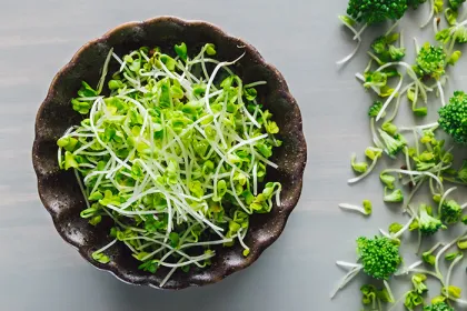 Broccoli sprouts