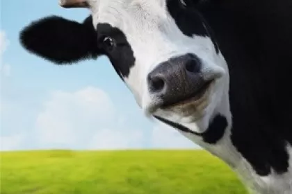 No Time to Repeal Food Safety Laws