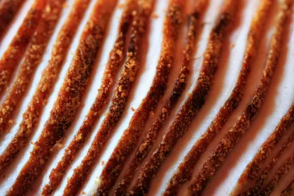 Processed Meat Petition