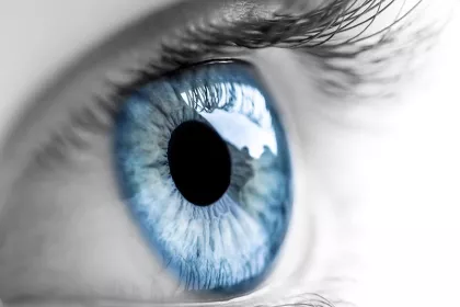 human eye