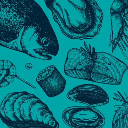 shell sketches on a blue background