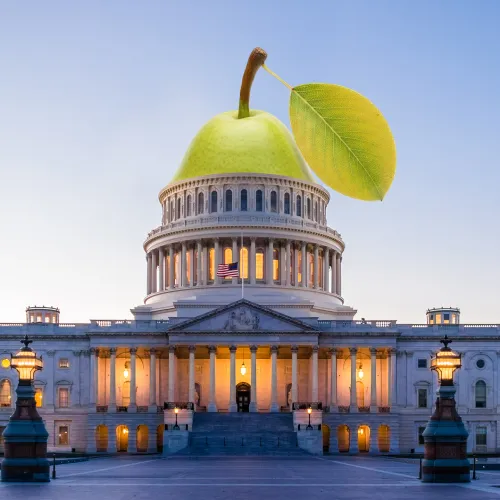 The U.S. Capitol with a pear as the dome