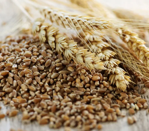 whole grains