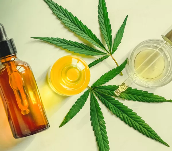 flat lay of marijuana leaves and oils in clear bottles