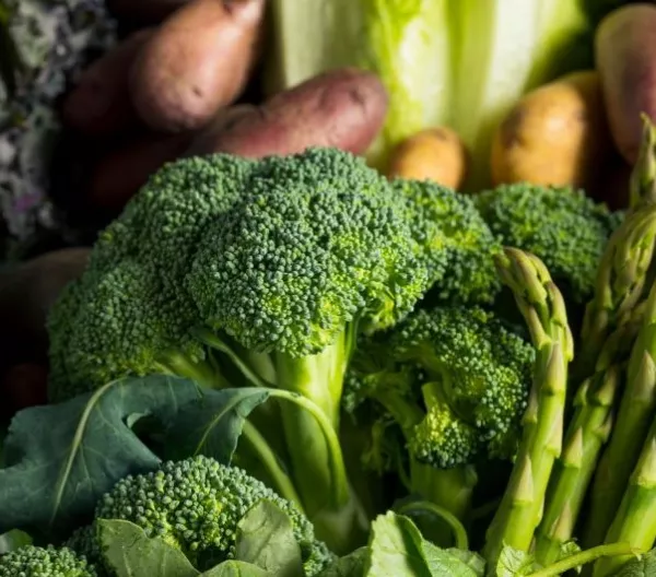 Seasonal produce - a closeup of broccoli and asparagus in the foreground, with potatoes, cabbage, collard greens and kale in the background.