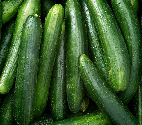 Cucumber background
