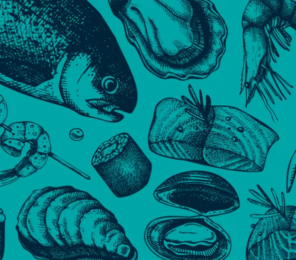 shell sketches on a blue background