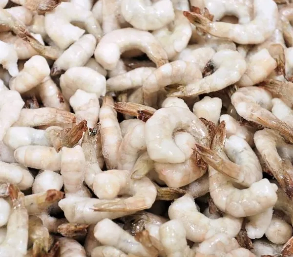 A closeup shot of frozen raw shrimp