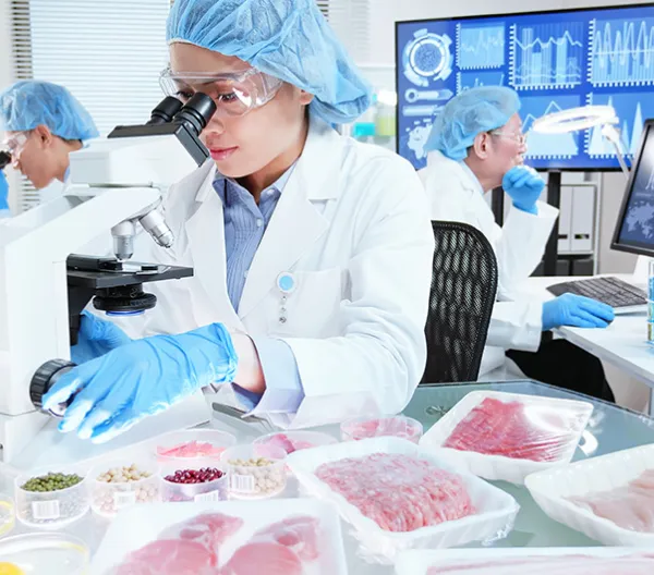 Food safety workers inspecting foods in a laboratory