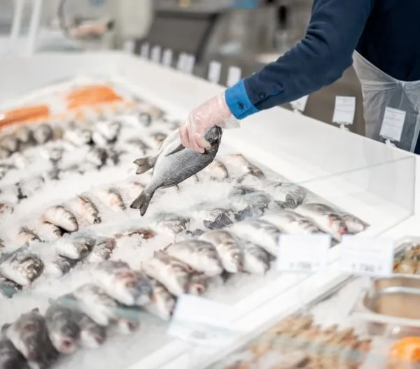 Fishmonger lays out fish on an ice counter in a supermarket. View from above on a counter with various seafood