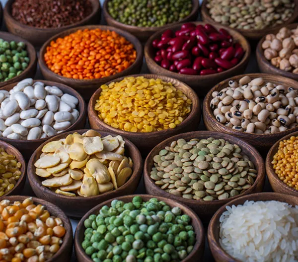 Assortment of beans, grains, and lentils