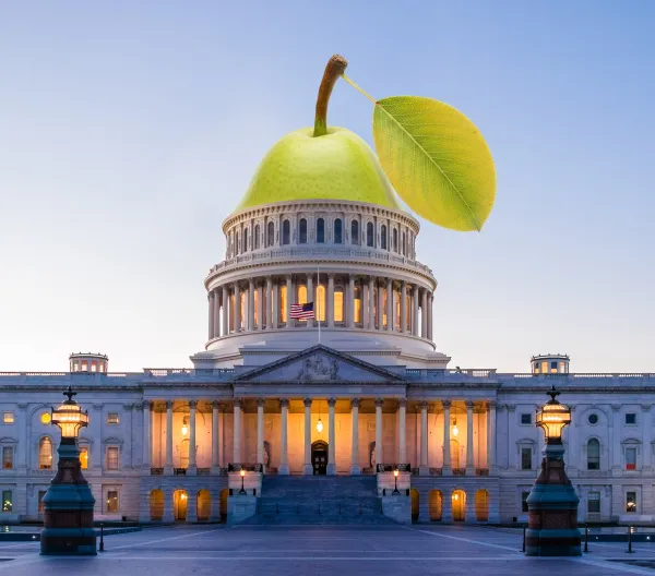 The U.S. Capitol with a pear as the dome
