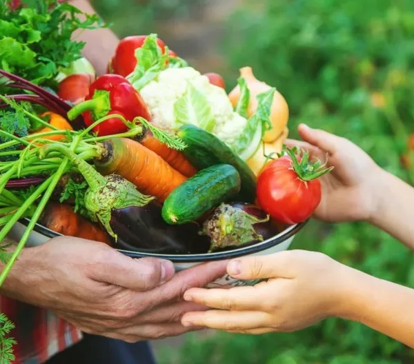 A man farmer and a child are holding a harvest of vegetables in their hands.