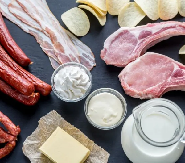 Sources of saturated fats, including red meat, dairy, and fried foods