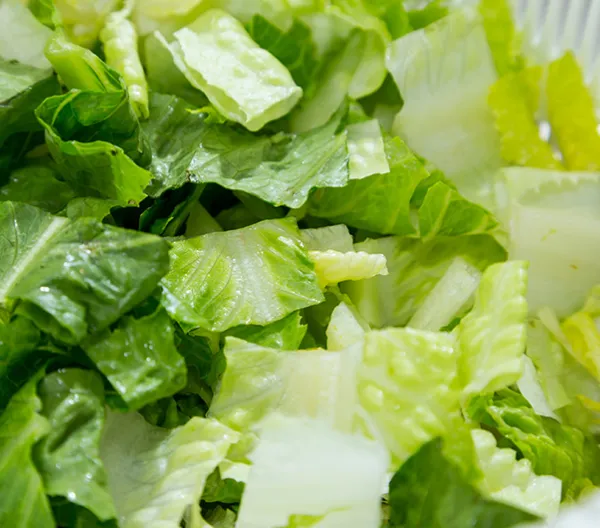 Shredded iceberg lettuce