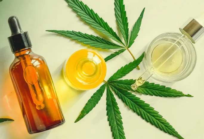 flat lay of marijuana leaves and oils in clear bottles