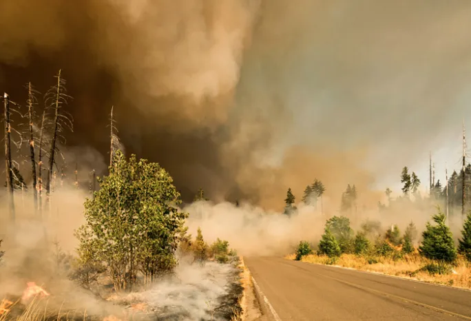 road surrounded by wildfire with sky filled with smoke