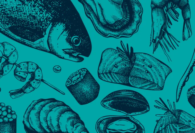 shell sketches on a blue background