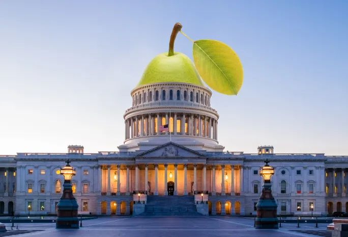 The U.S. Capitol with a pear as the dome