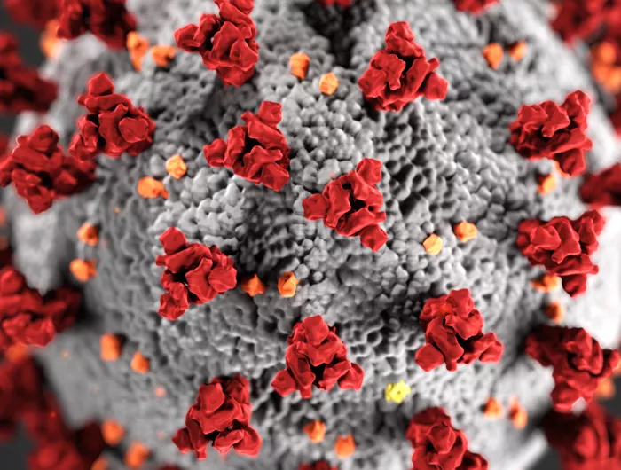 a coronavirus