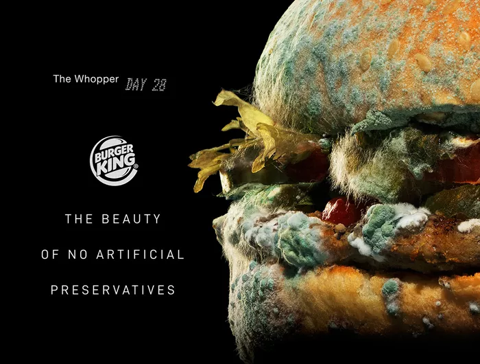 a moldy Burger King whopper