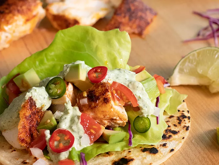 snapper taco