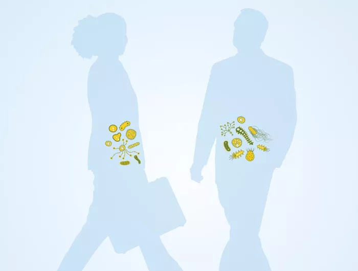 illustration of a man's and a woman's gut microbes