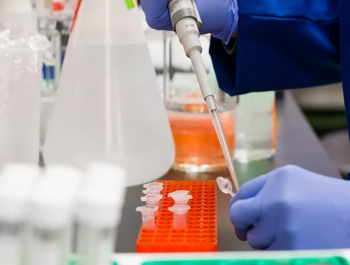 Person putting a drop on test tube