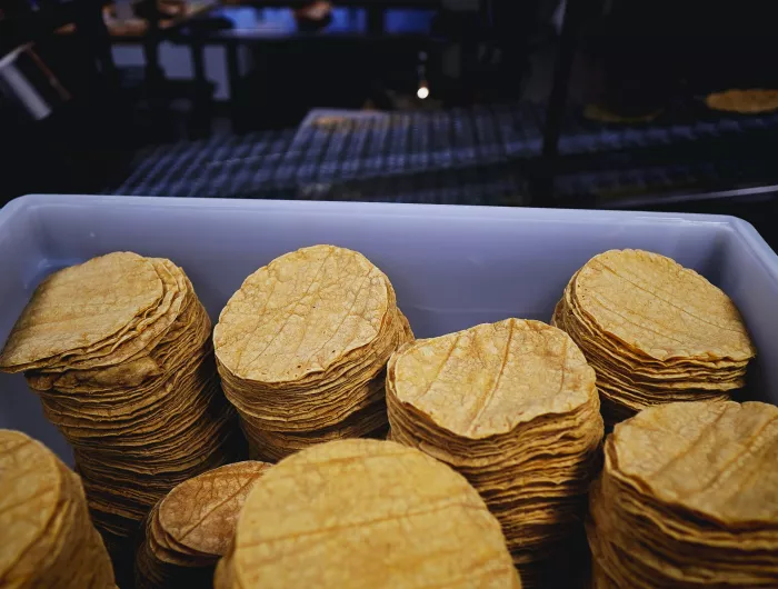 Corn tortillas