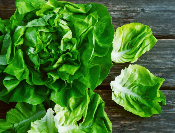 head of lettuce on table