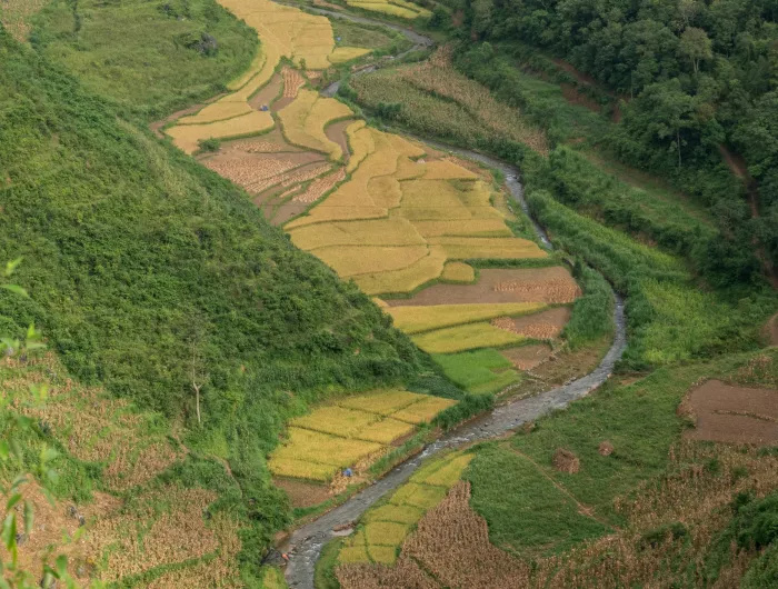 Bird's eye view of a river winding through hilly farmland