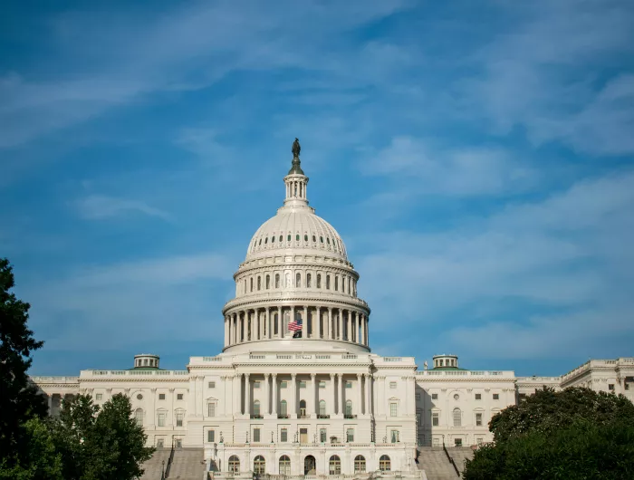 U.S. Capitol Building