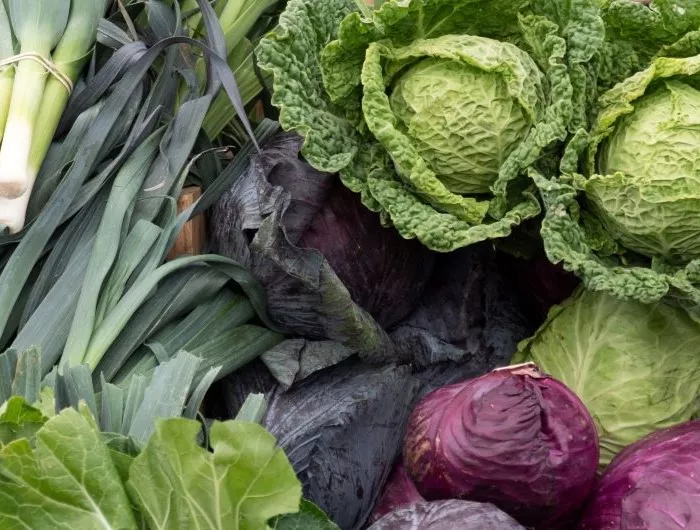 Seasonal produce - Cabbages, collard greens, kale and leeks at a farmer's market in February