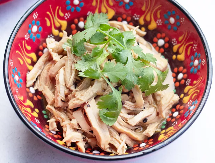 patterned red colorful bowl full of shredded chicken and adobo sauce and garnished with cilantro