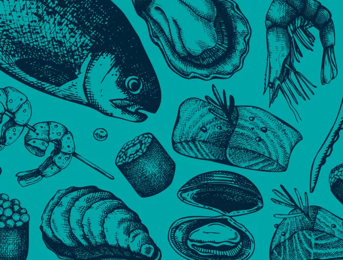 shell sketches on a blue background