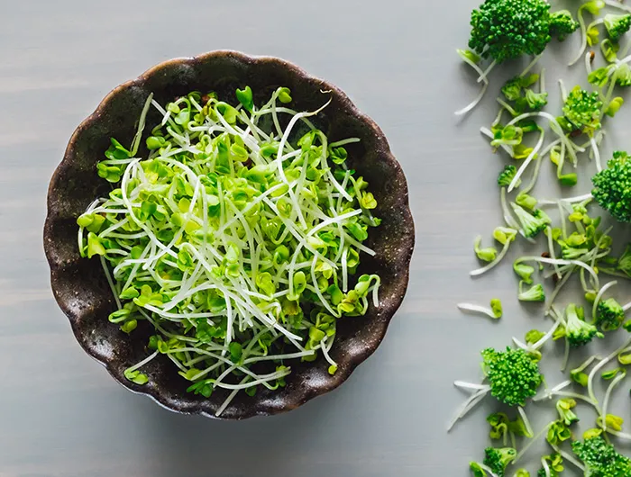 Broccoli sprouts
