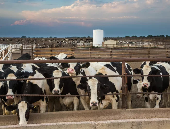 FDA Proposes Ambitious Strategy for Combating Antimicrobial Resistance