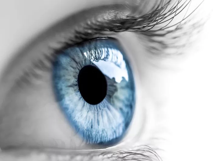 human eye