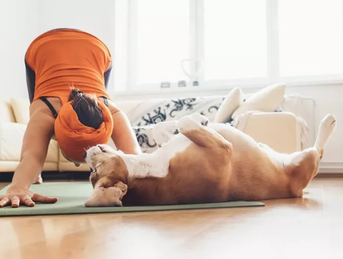 stretch