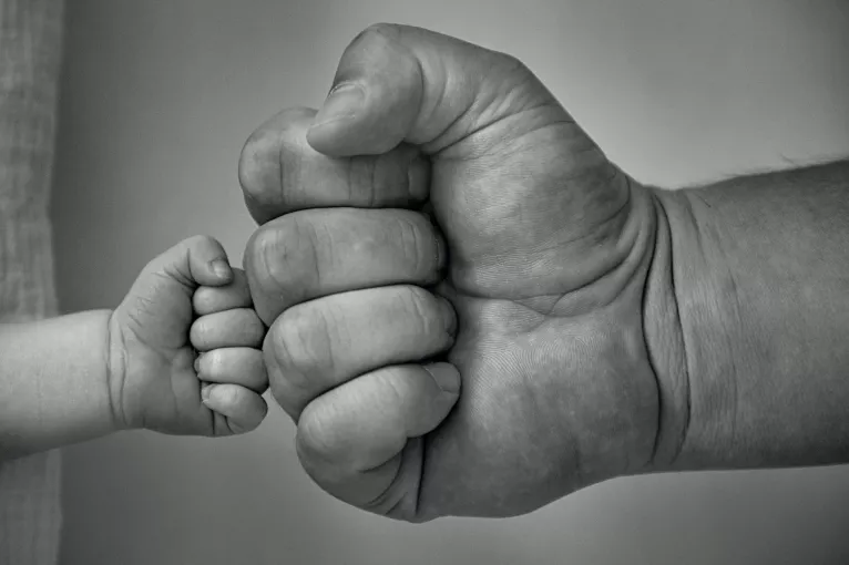 hands