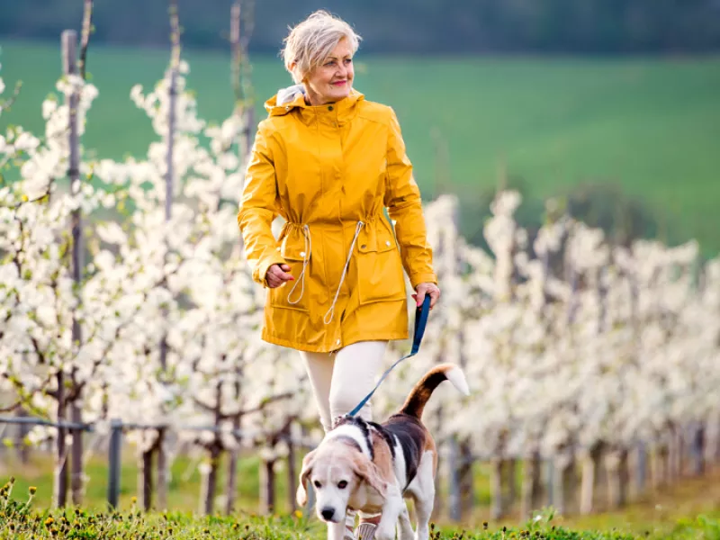 woman Walking Dog