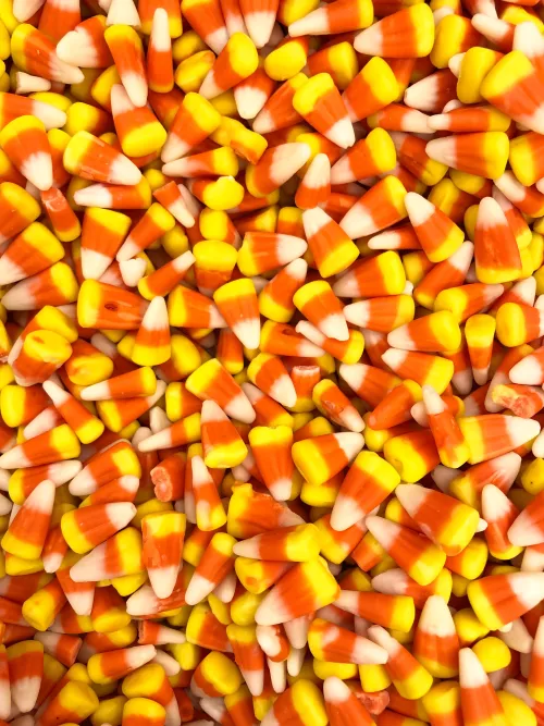 candy corn