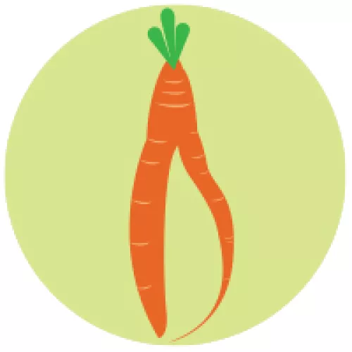 misshapen cartoon carrot