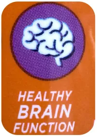 icon for healthy brain function