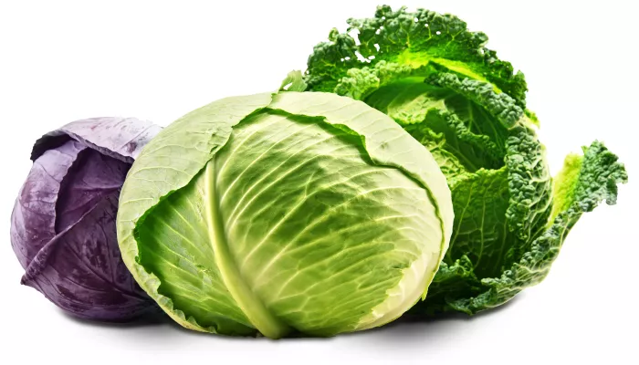 cabbage