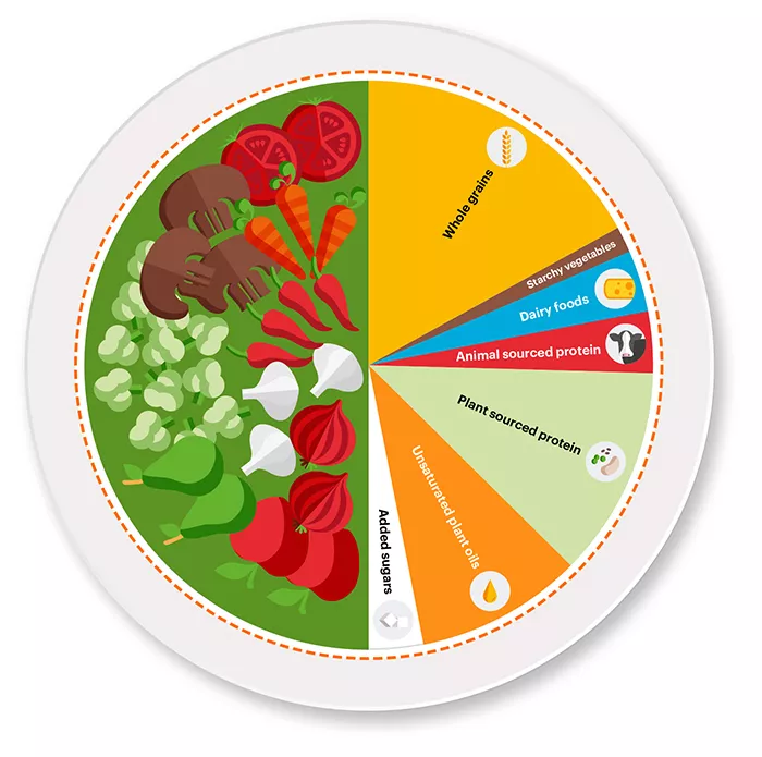 Planetary Health Plate