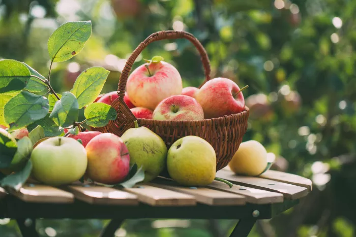 apples and pears