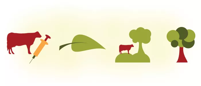 organic dairy labels