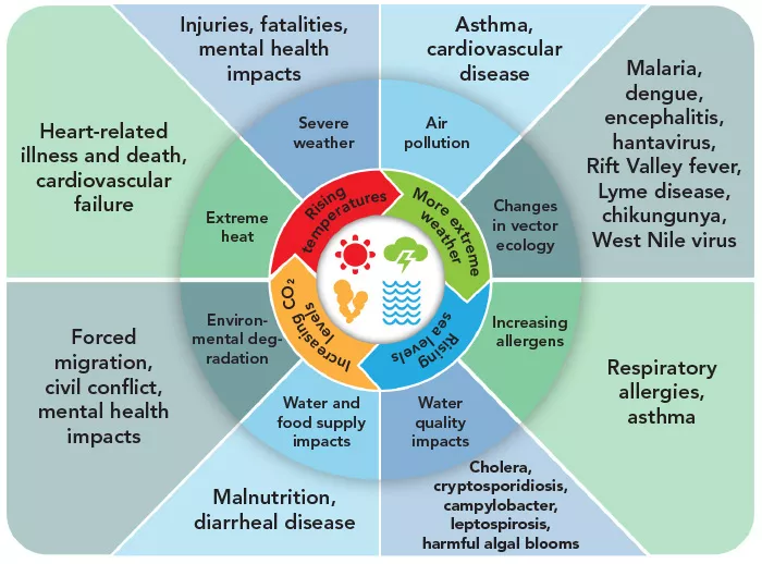 chart showing how climate change affects health