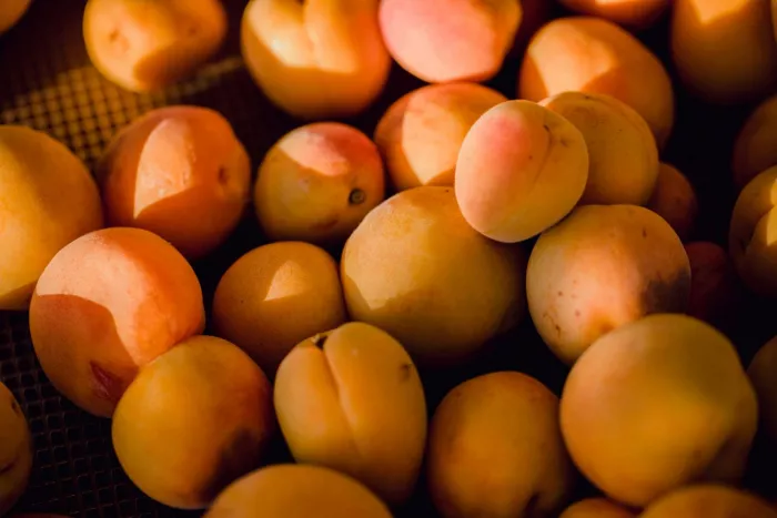 Seasonal produce - fresh apricots in a wooden crate
